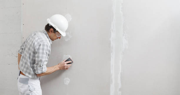 Best Black Mold Removal  in Grandview, OK