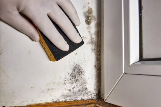 Best Dehumidification Services  in Grandview, OK